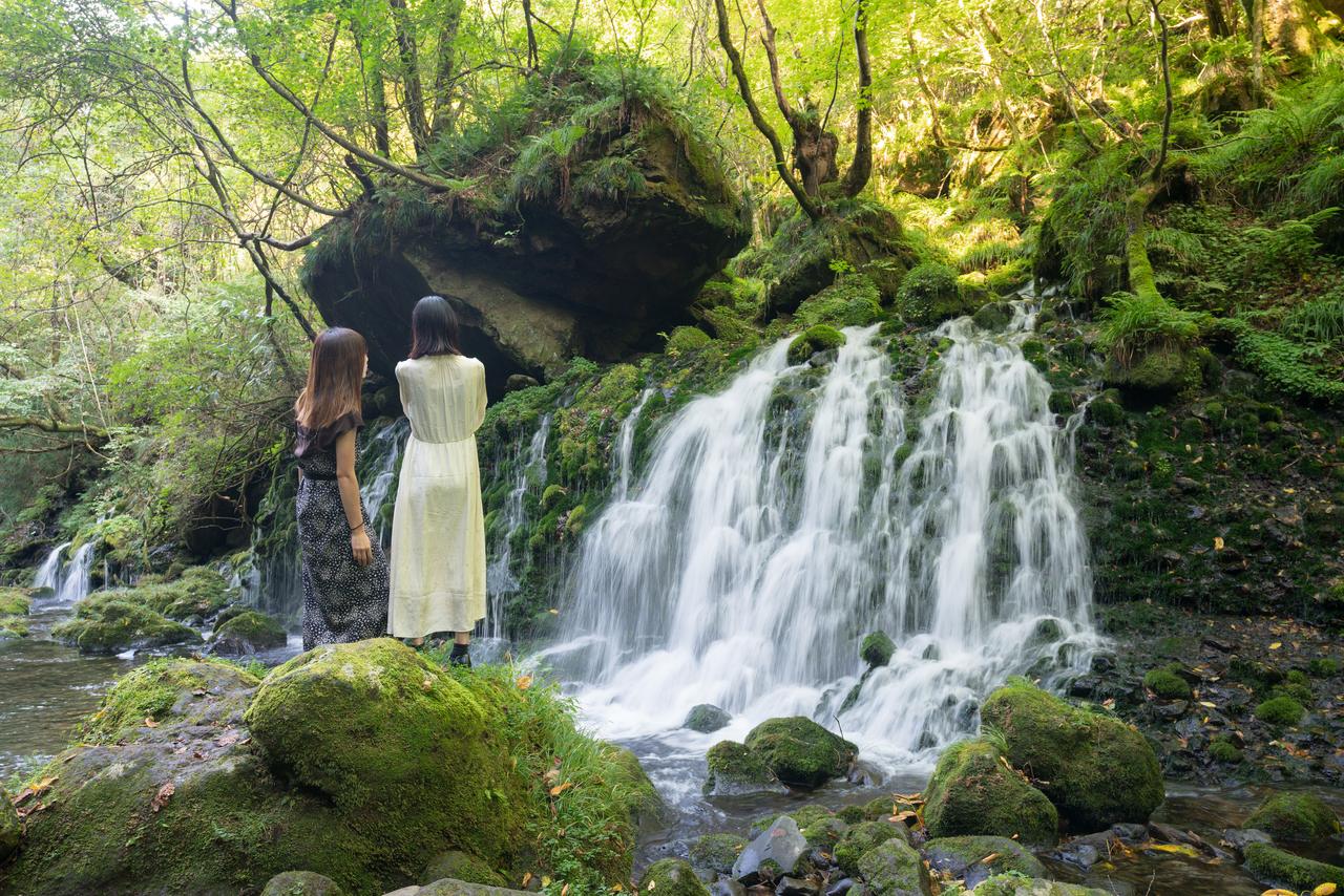 Spring water emerging through moss-covered rock at Motodaki, below Mount Chokai