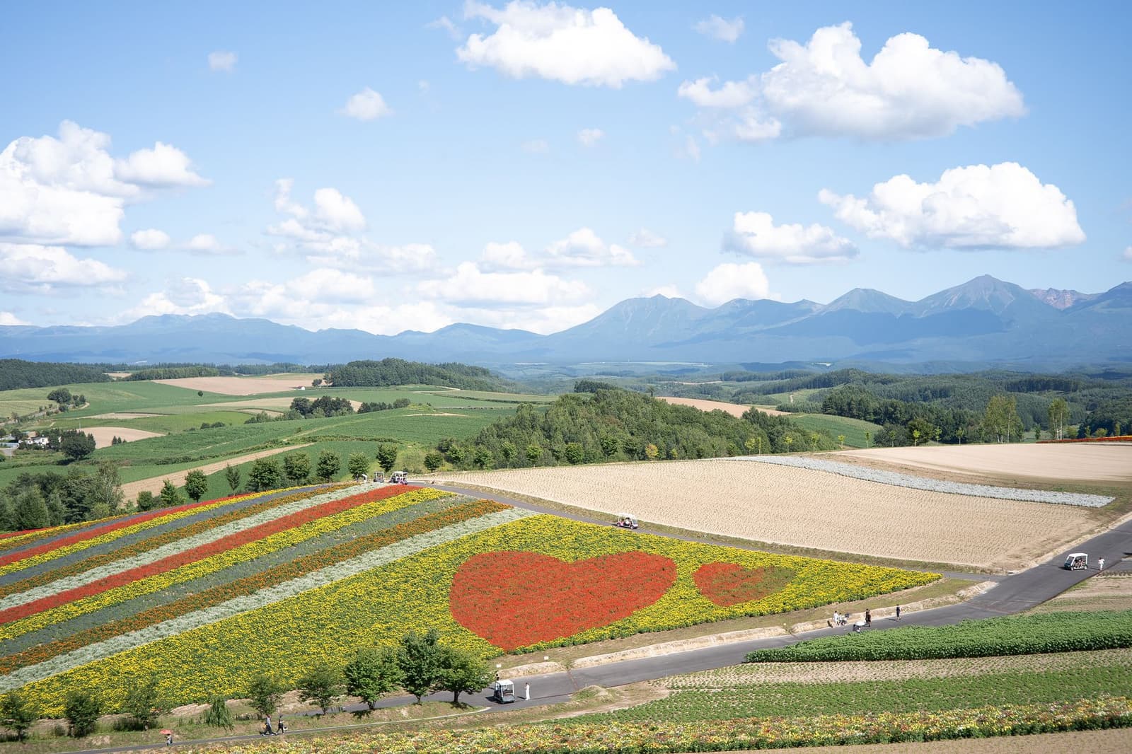 Patchwork farmland with contrasting crop colours below mountains in summer