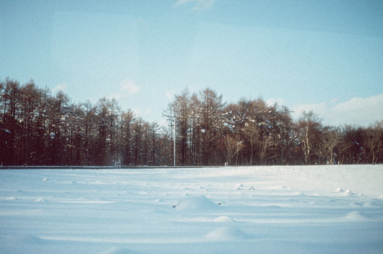 Snow-covered forest and open country in Hokkaido during deep winter