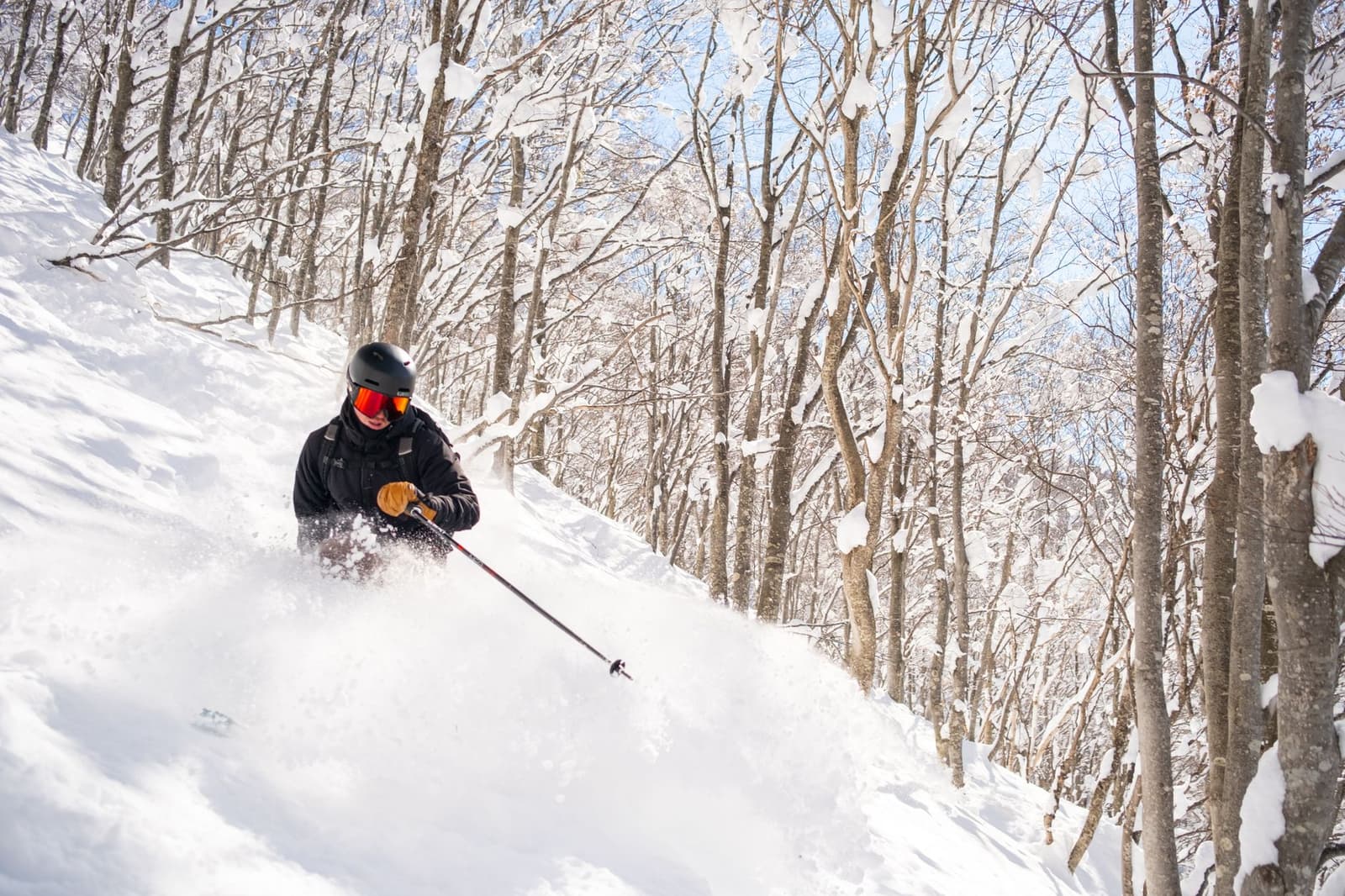 Skier turning through deep dry powder snow on a tree-lined run