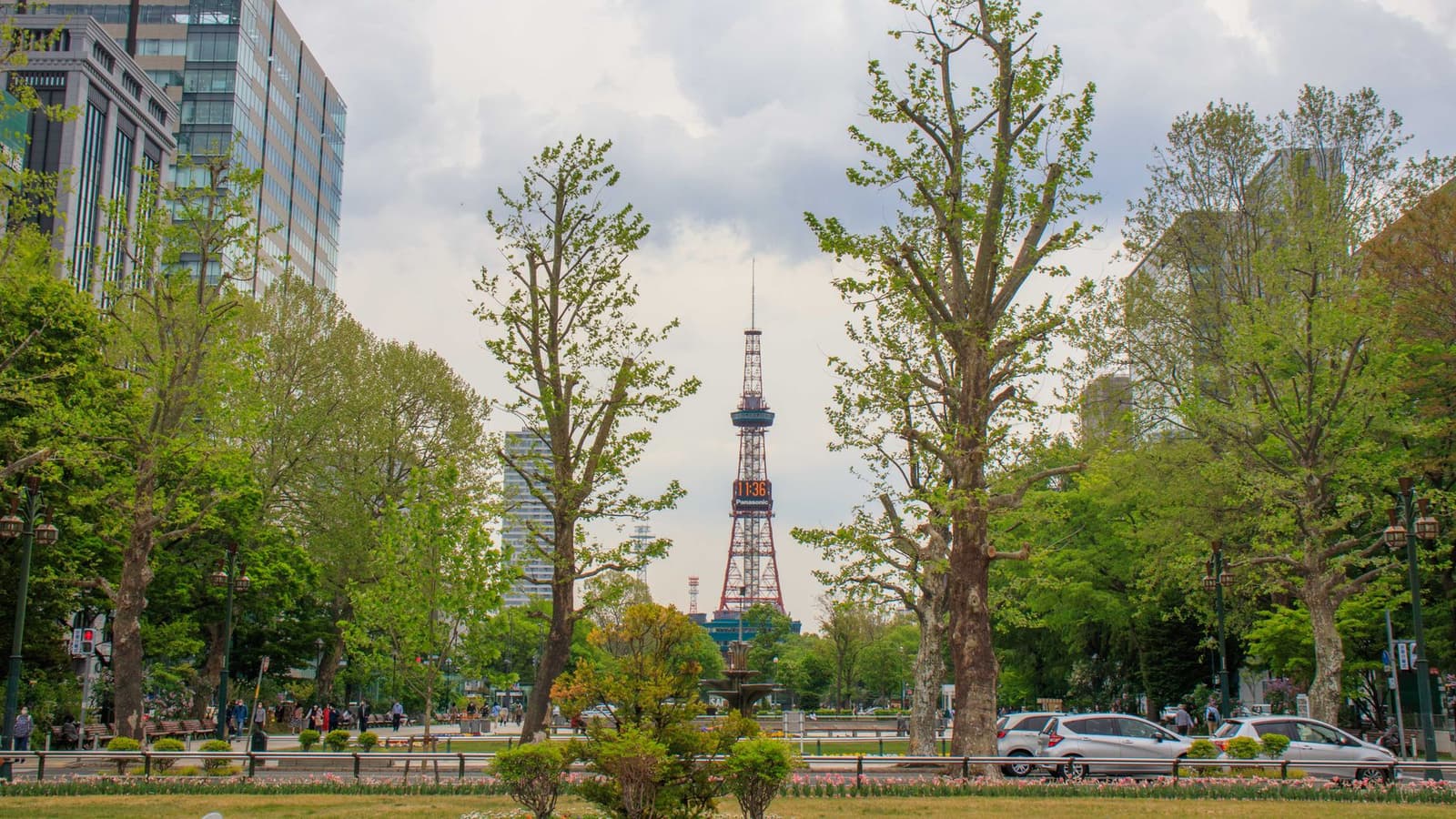 Odori Park running through central Sapporo, with trees and the TV Tower beyond