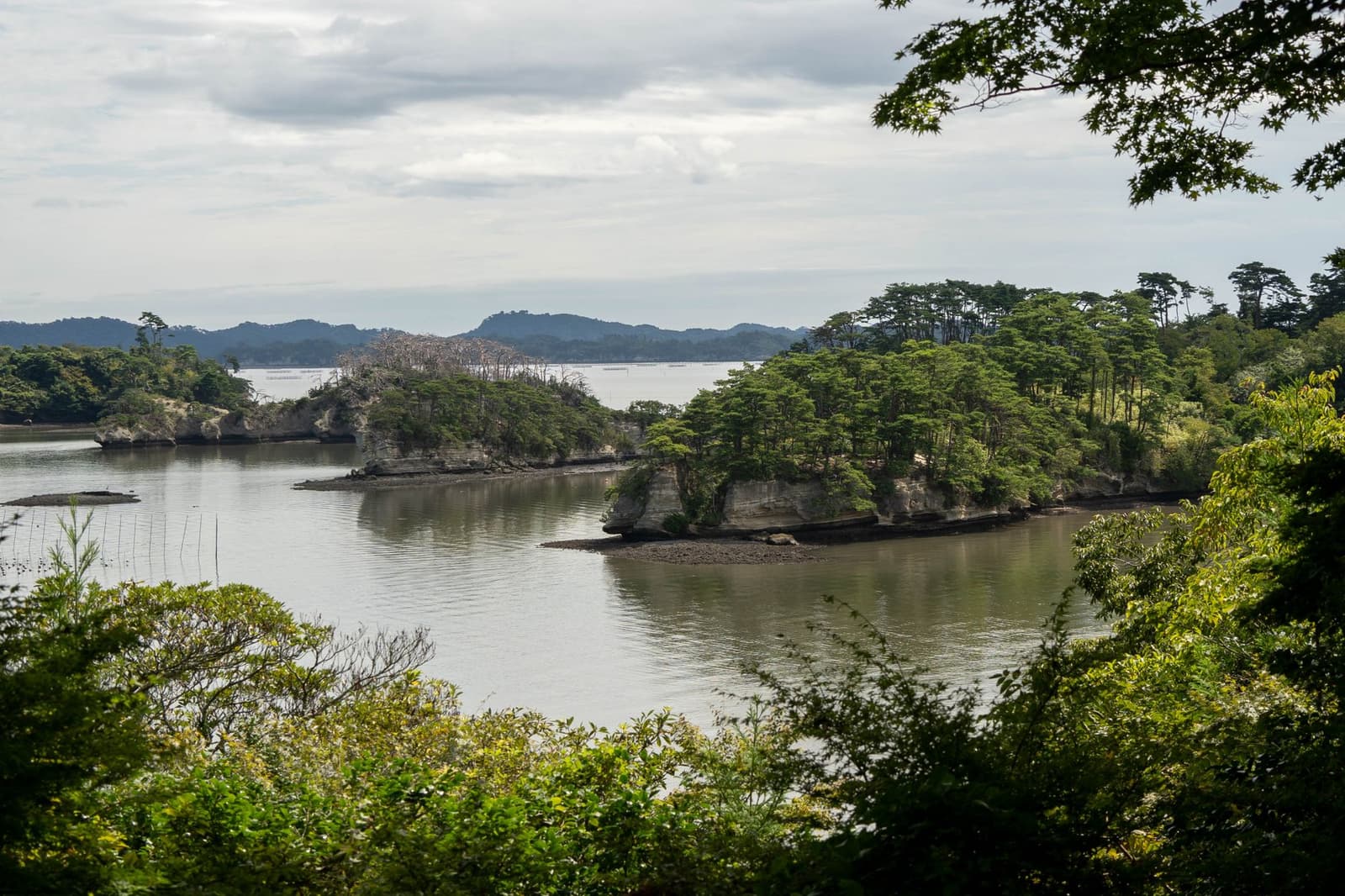 Pine-covered islets scattered across the calm water of Matsushima Bay