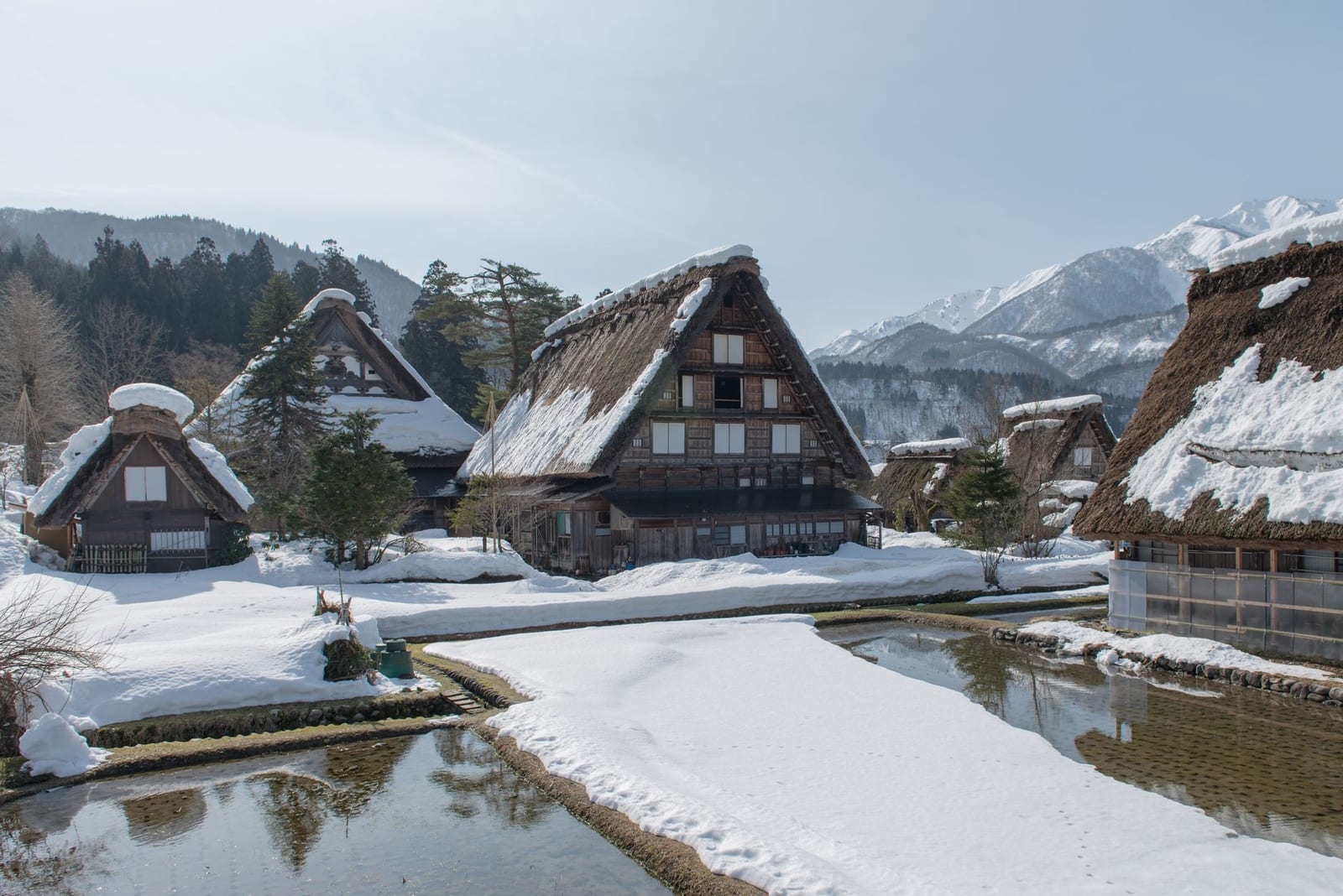 Steep thatched gassho-zukuri farmhouses at Shirakawa-go under snow