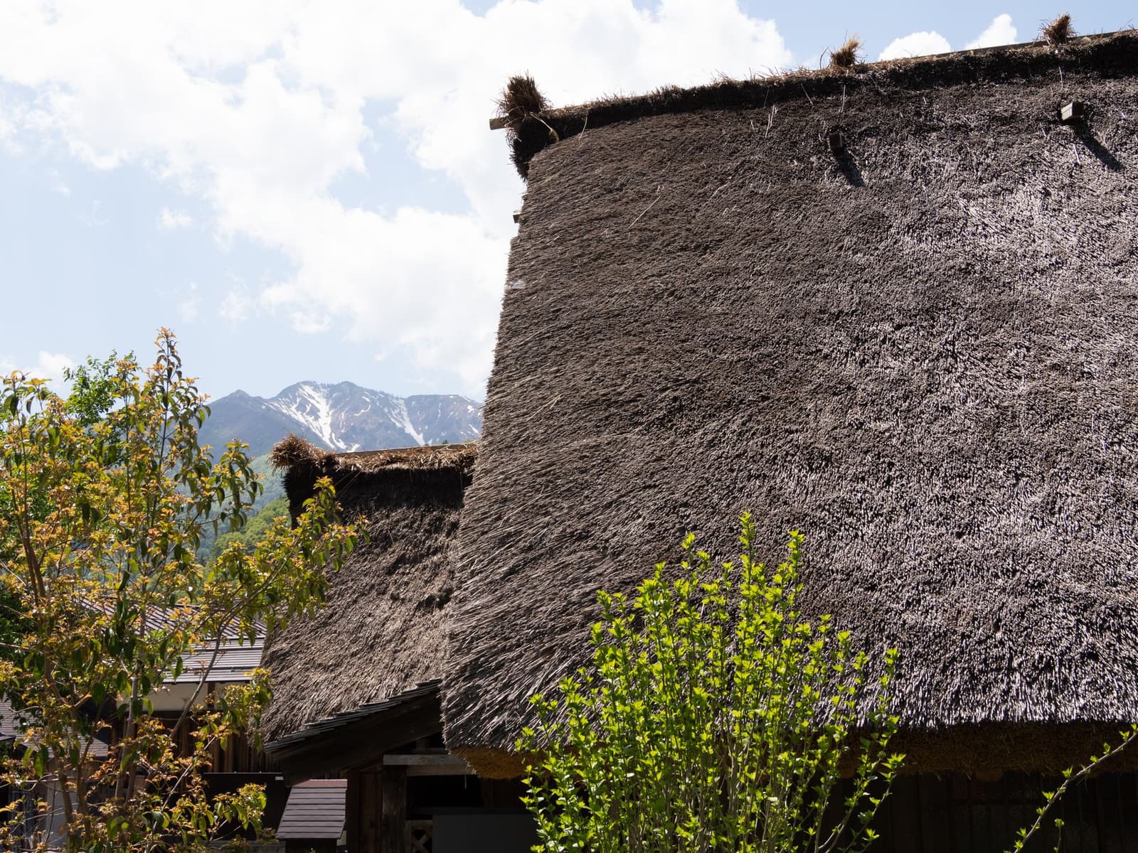 Close-up of the steep thatched roof of a gassho-zukuri farmhouse at Shirakawa-go