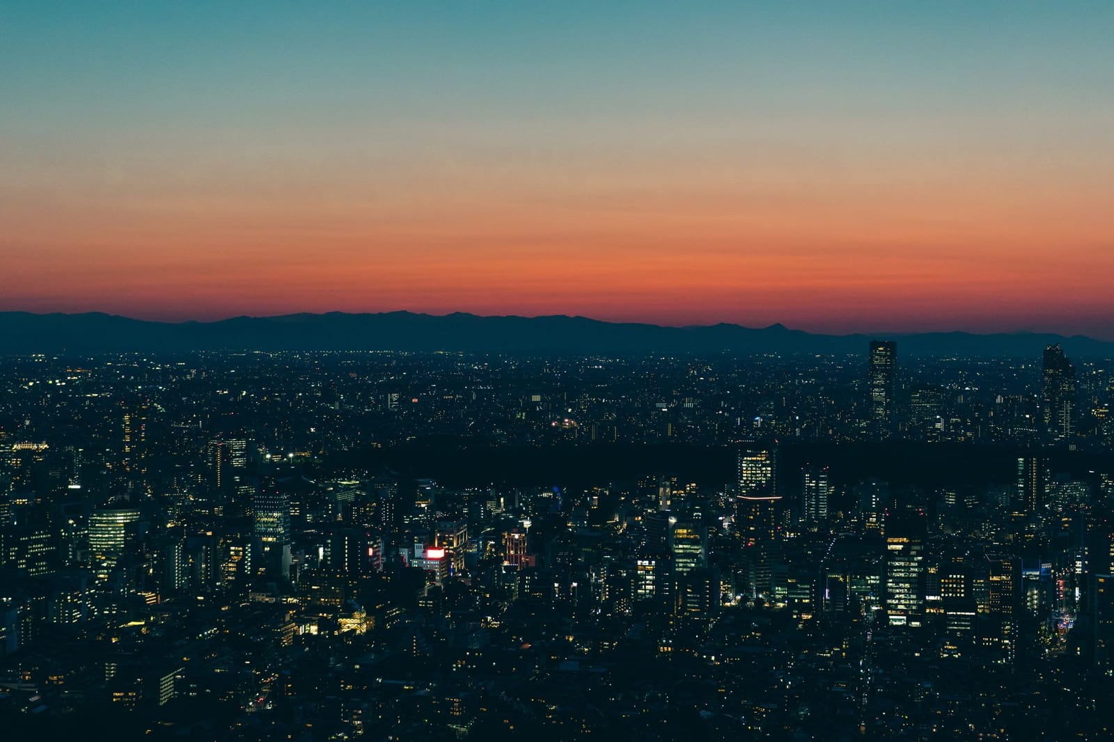 Tokyo skyline at dusk with dense high-rise lighting across the city